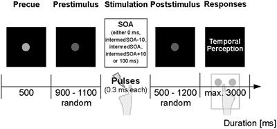 Beyond the Peak – Tactile Temporal Discrimination Does Not Correlate with Individual Peak Frequencies in Somatosensory Cortex